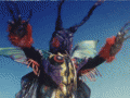 tumblr_o7i8dfJG4P1ssholto1_400.gif